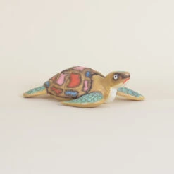 Indoor Colorful Turtle