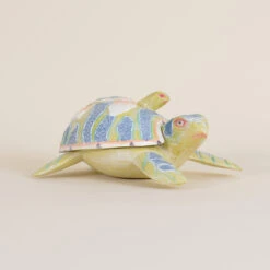 Indoor Big & Small Turtles