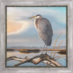 Marsh Watch Great Blue Heron By Richard Clifton - Framed Art