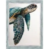 Great Sea Turtle By Jodi Hatfield - Framed Art