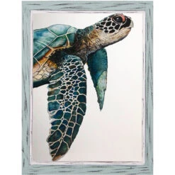 Great Sea Turtle By Jodi Hatfield - Framed Art