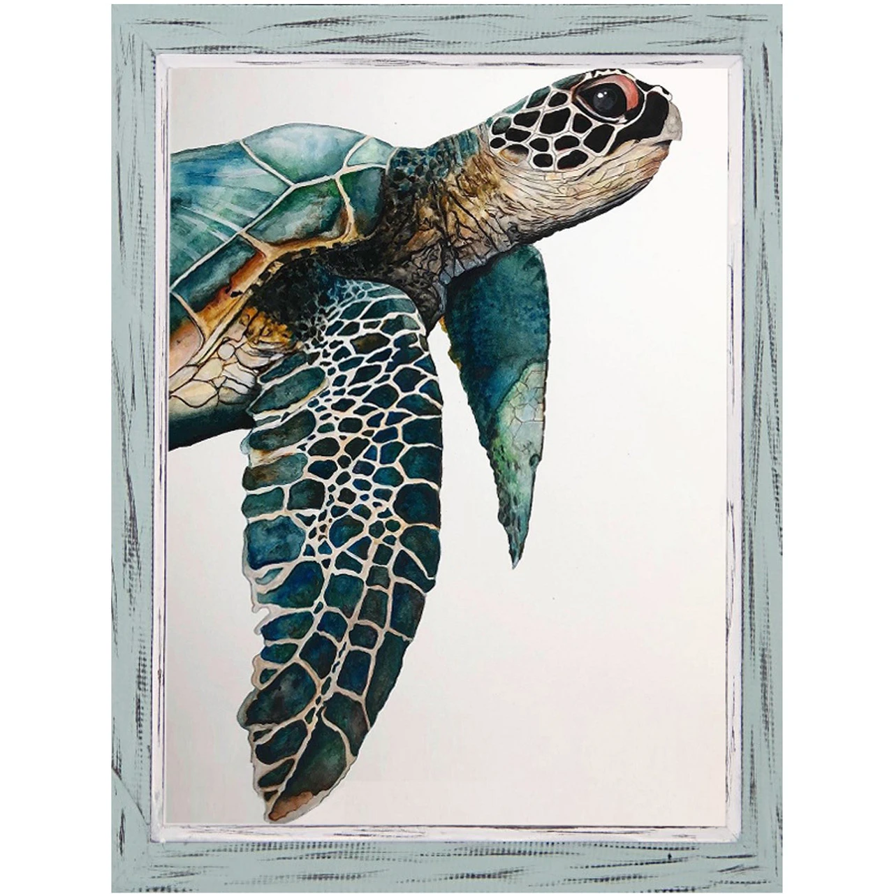 Great Sea Turtle By Jodi Hatfield - Framed Art