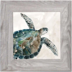 Neutral Sea Turtle I By Carol Robinson - Framed Art