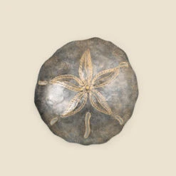 Medium Metal Sand Dollar Wall Art
