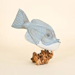Carved Wood Fish On Root Base, Aqua And White