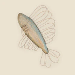 Fish Wall Hanging With Rattan Fins, Blue And Yellow