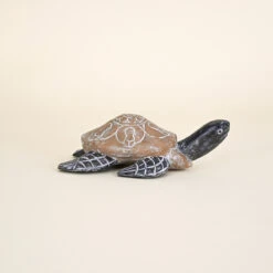Wood Turtle, Natural Wood Shell With Dark Head And Fins