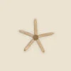 Wood Starfish With Rope, Small