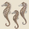 Outdoor Heat Treated Stainless Steel Set Of Three Seahorses