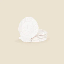 Scallop Shell Coasters, Set Of 4